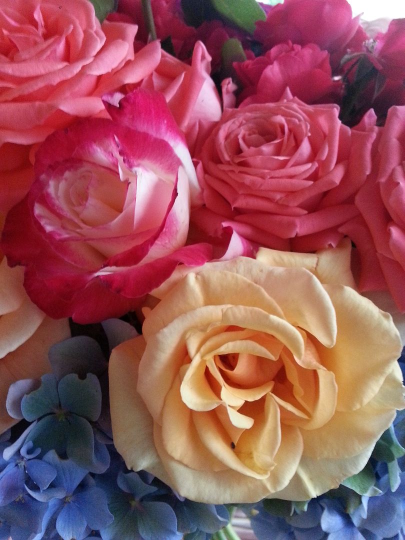  photo 20140902_073545_zpsdarmn6ba.jpg